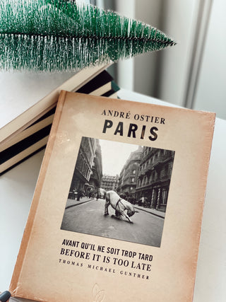 Paris, Before It Is Too Late