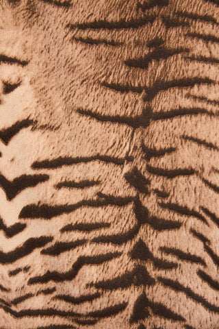 BOAT NECK BUTTON FRONT LONG SLEEVE TOP: TAUPE ANIMAL / L - Olive Street