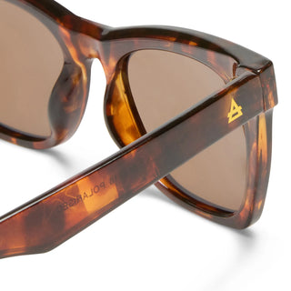 The Bellatrix in Dark Tort Polarized