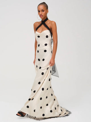 Dorothy Dot Gown