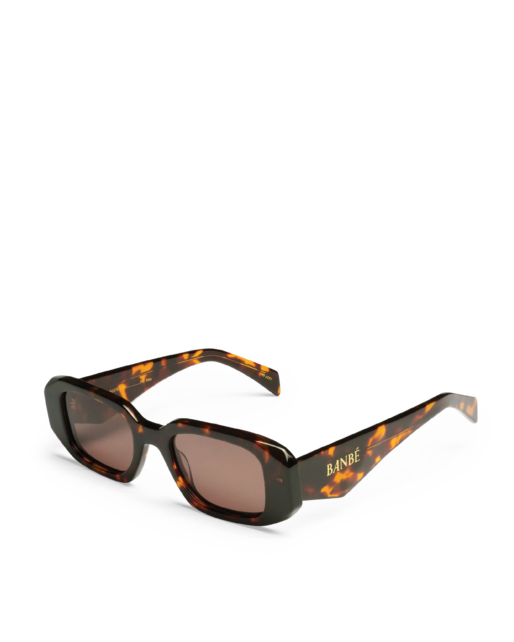 The Nina Havana Auburn